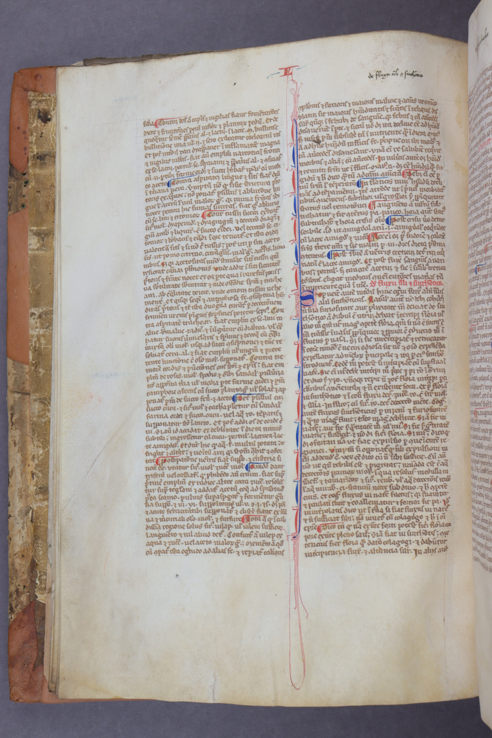 Folio 10 verso